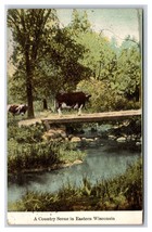 Cow on Footbridge Country Scene Eastern Wisconsin WI 1909 DB Postcard T3 - £3.87 GBP