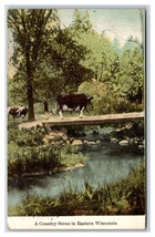 Cow on Footbridge Country Scene Eastern Wisconsin WI 1909 DB Postcard T3 - £3.74 GBP