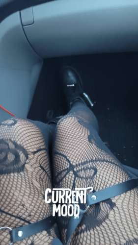 Surprise one pair stockings