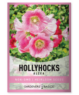FMG Alcea Hollyhocks Seeds Fast Growing - €12,18 EUR FMG Alcea Hollyhocks Seeds Fast Growing - €12,18 EUR