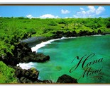 Hana Shoreline Maui Hawaii Hi Unp Dorato Continental Cartolina O21 - $4.04