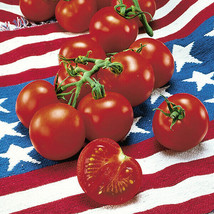 New Fresh 50 Seeds 4Th Of July Tomato Juicy Tomatoe Vegetable Garden - €6,13 EUR