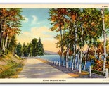 Scene On Road Along Lake Huron Michigan MI UNP Linen Postcard Y13 - $3.91