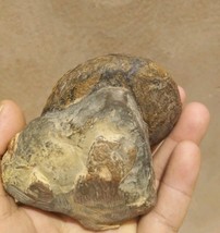 Item image 13