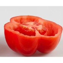 USA SELLER Burgess Red Stuffing Tomato Seeds Fast Shipping - £7.37 GBP