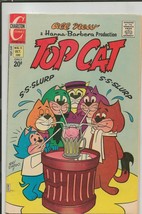 Top Cat #13 ORIGINAL Vintage 1972 Charlton Comics Hanna Barbera - £15.81 GBP