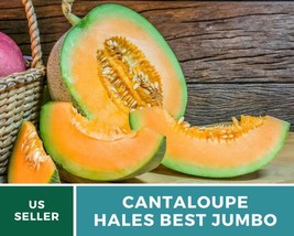 Grow 25 Hales Best Jumbo Cantaloupe Seedslarge Heirloom Organic Non Gmo - £7.03 GBP