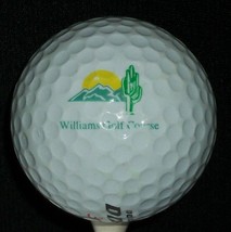 White Williams Golf Course Dunlop DDH 3 Accuracy Golf Ball - $16.99