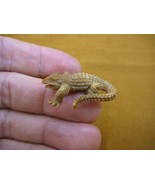 tb-allig-3 little baby gator alligator hatchling TAGUA NUT figurine carv... - £22.04 GBP