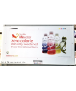 SoBe Lifewater Preproduction Advertising Art Work Zero Calorie Green Lizard 2009 - $18.95