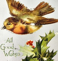 Christmas All Good Wishes 1920s Greeting Postcard Divided Bird Holly PCBG6B - $375.23 MXN