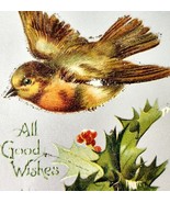 Christmas All Good Wishes 1920s Greeting Postcard Divided Bird Holly PCBG6B - €17,22 EUR