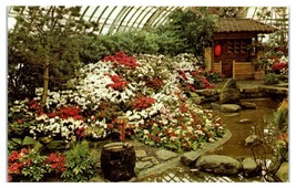 Flower Show Phipps Conservatory Pittsburgh Pennsylvania Unused Postcard - £11.86 GBP