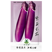 700 pcs Long Purple Eggplant Seeds | Heirloom | Non-GMO | Fresh Garden Seeds FRO - £3.98 GBP