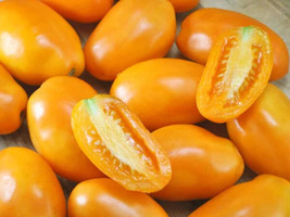 50 Seeds Orange Banana Tomato Tomatoe Vegetable Garden Canning - $7.17