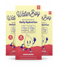 3x Waterboy, Daily Hydration, Electrolyte Drink Mix, Watermelon, 12 Stic... - $49.49