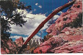 Zion National Park, Utah FS-573 Ferris H. Scott Post Card Western Resort Publica - $3.95