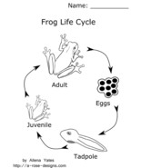 Frog Life printable - $54.61 MXN