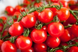 Vpf 100+ Sugar Bomb Cherry Tomato Seeds -------------- Heirloom - Organic - Non - $3.60