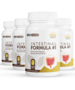 4 Pack Fórmula Intestinal #1, mejora la flora intestinal-60 Cápsulas x4 - $126.71