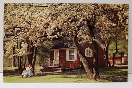 Mount Pocono Pa Paradise Valley Lodge, Thornapple Cottage 1950s Postcard E8 - £4.32 GBP