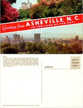 North Carolina(NC) Asheville City View Flowers Bushes Trees Vintage Post... - $9.40