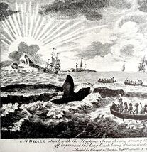 Harpooned Whale Diving On Ice 1926 Nautical Antique Print Whale Hunting ... - $458.41 MXN