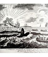 Harpooned Whale Diving On Ice 1926 Nautical Antique Print Whale Hunting ... - $35.02 CAD