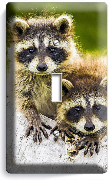 CUTE LITTLE RACCOONS SINGLE LIGHT SWITCH WALL PLATE COVER BEDROOM ROOM ART DECOR
