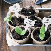 Eco-Friendly Paper Seedling Pots and Plant Tags Set - £23.52 GBP