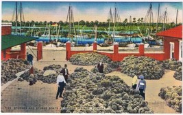 Postcard Sponges &amp; Sponge Boats  At Tarpon Springs Florida - £3.98 GBP