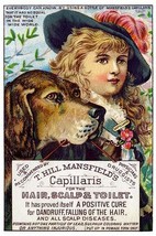 T. Hill Mansfield&#39;s Capillaris - Art Print - £17.33 GBP+
