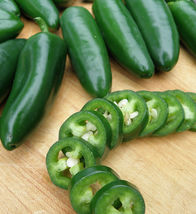 Jalapeno Pepper Seeds, Hot Pepper, NON-GMO, Jalapeno Poppers, 200 Seeds - £7.80 GBP