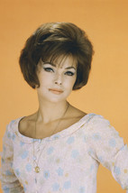 Virna Lisi 1967 Studio Glamour Portrait 24x18 Poster - $23.99