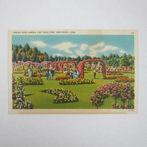 Vintage 1930-40s Linen Postcard New Haven Connecticut Pardee Rose Garden... - $5.99