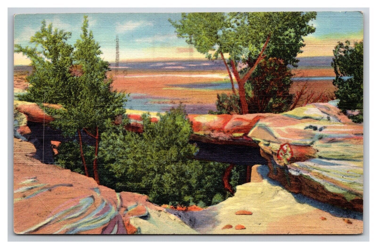 Primary image for Natural Bridge Petrified Forest National Monument Arizona Linen Postcard Z2