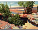 Natural Bridge Petrified Forest National Monument Arizona Linen Postcard Z2 - $2.92