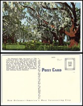 LOUISIANA Postcard - New Orleans, The Pakenham Oaks &quot;2&quot; F12 - £2.33 GBP