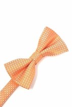 Orange Regal Kids Bow Tie - £11.79 GBP