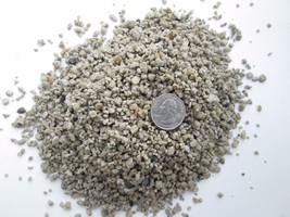 5 QTS  PUMICE - 1/4&quot; - 1/8&quot;- Bonsai Soil &amp; Succulents- SCREENED - £5.46 GBP