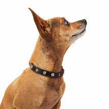 YOULY The Diva Embellished Black Small Dog Collar, XX-Small/X-Small - $18.10 CAD