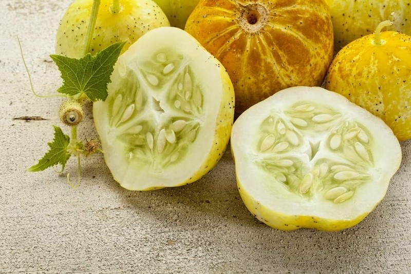 LKS 100 Lemon Cucumber Seeds Exotic Heirloom Vegetable Home Garden - $21.92
