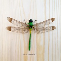 Dragonflies with Magnets - $84.12 MXN
