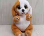Ty Beanie Baby Bellies RUGGLES the Puppy Dog Tan White 2022 gold glitter... - $7.27