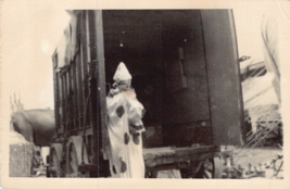 CLOWN STANDING AT BACK OF CIRCUS WAGON OR TRUCK~GEORGE BRITTON PHOTO - £4.66 GBP