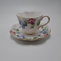 Salisbury Fine England Morning Glory Convolvulus Teacup And Saucer - $22.20