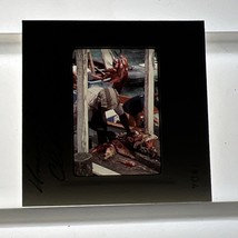 Union Island Clifton Harbor Fisherman With Catch 35mm Slide Photo - $104.41 MXN