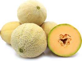 Fresh Garden Cantaloupe Athena Cantaloupe 25+ Seeds - £8.25 GBP