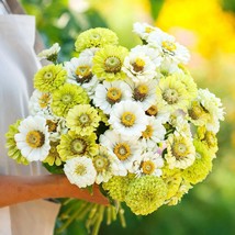 100+ Fresh Mix Zinnia Seeds | Colorful Heirloom Flower Variety - $16.50