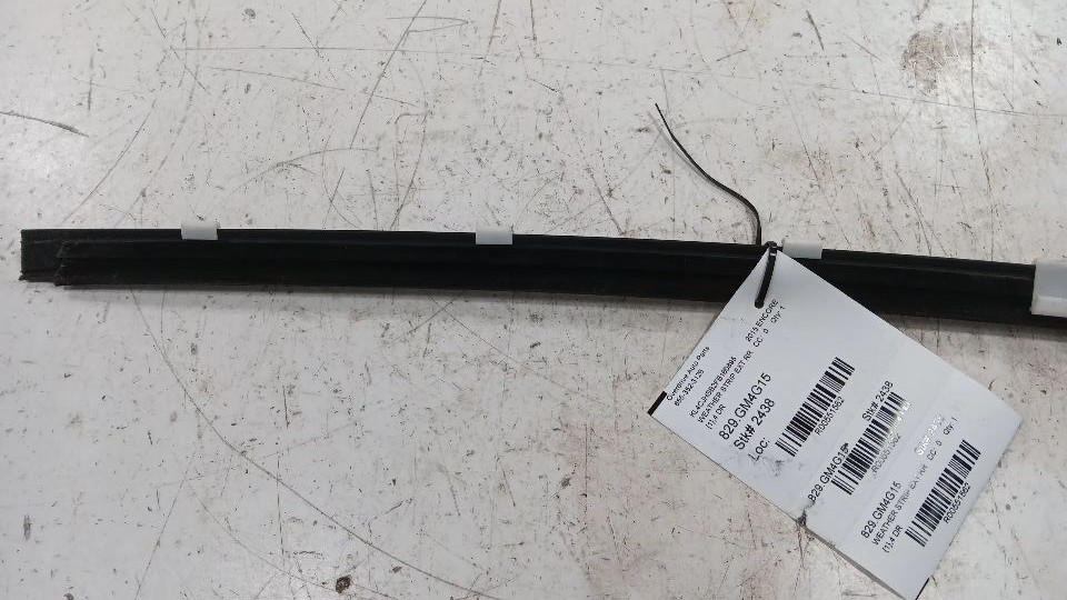 Buick Encore Door Glass Window Weather Strip Trim Rear Right Passenger S... - $38.11
